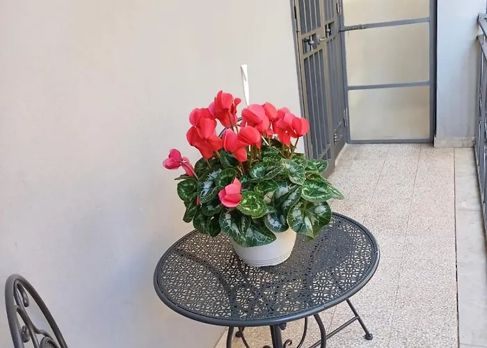 Girasoli B&B 스카파티