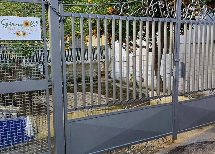 Girasoli 스카파티